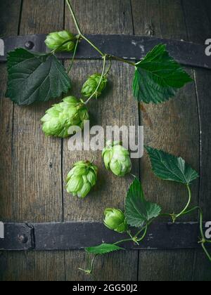 Frische grüne Hopfenpflanzen-Kegel auf altem Bierfass-Hintergrund, Draufsicht Stockfoto