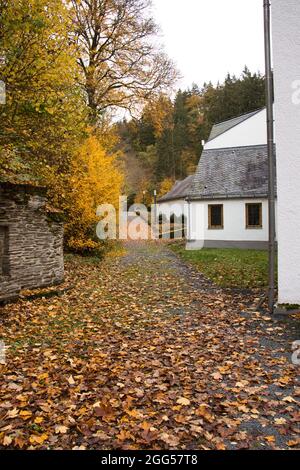 Bunte Blätter auf Bäumen neben einem mit gefallenen Blättern bedeckten Wanderweg an einem Herbsttag in der Wallfahrtskirche Maria Martental. Stockfoto