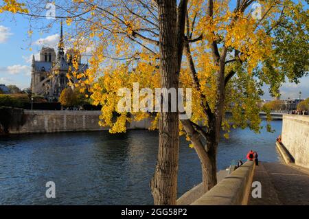 FRANKREICH. PARIS (75) 1. ARR. ILE SAINT-LOUIS. QUAI D'ORLEANS Stockfoto