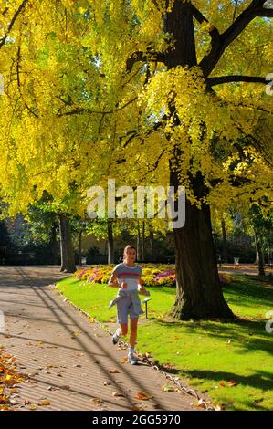 FRANKREICH. PARIS (75) 6E ARR. JARDIN DU LUXEMBOURG. DEM SENAT Stockfoto