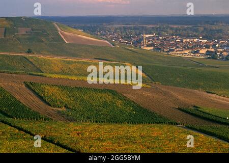 FRANKREICH. MARNE (51) STRASSE DES CHAMPAGNERS. WEINBERG VON AY IM HERBST Stockfoto