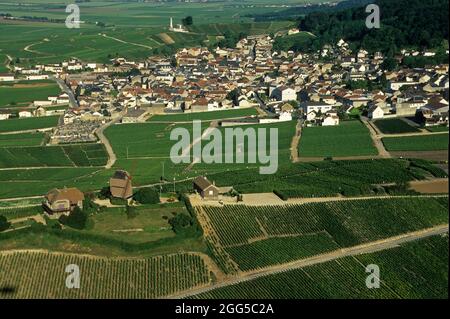 FRANKREICH. VERZENAY. CHAMPAGNER VON VIGNOBLE DE LA MONTAGNE DE REIMS Stockfoto