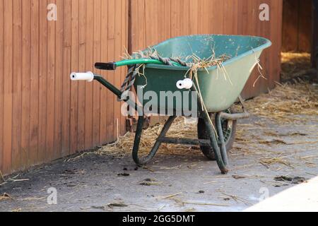 Eine ausmuckende Schubkarre in einem Reitstall. Stockfoto