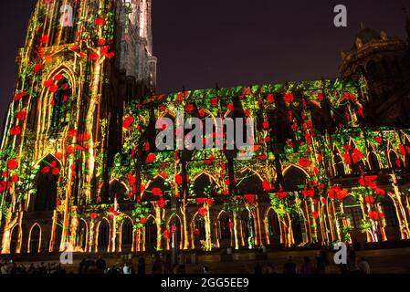 FRANKREICH. BAS-RHIN (67). STRASSBURG. KATHEDRALE NOTRE-DAME. SÜDFASSADE: '1015-2015: DIE KATHEDRALE DER EWIGKEIT' (KREATION: SKERTZO), SHOW FÜR DEN TAUSENDSAATAL Stockfoto