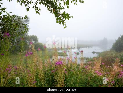 Tregaron, Ceredigion, Wales, Großbritannien. 29. August 2021 UK Wetter: Nebliger Morgen im Cors Caron National Nature Reserve in der Nähe von Tregaron in der Mitte von Wales, mit der Vorhersage von Sonnenschein, sobald der Nebel aufgeht. © Ian Jones/Alamy Live News Stockfoto