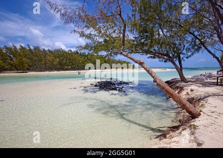 Das klare Wasser und weißen Stränden in der Ile aux Cerfs, Mauritius Stockfoto