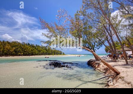 Das klare Wasser und weißen Stränden in der Ile aux Cerfs, Mauritius Stockfoto