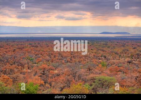 Tarangire-Nationalpark bei Sonnenuntergang, Tansania Stockfoto