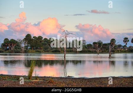 Sonnenuntergang am See Manze, Selous Game Reserve, Tansania Stockfoto