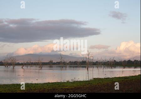 Sonnenuntergang am See Manze, Selous Game Reserve, Tansania Stockfoto