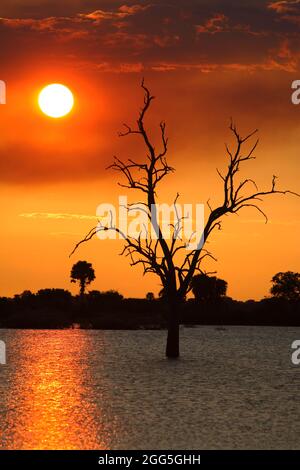 Sonnenuntergang am See Manze, Selous Game Reserve, Tansania Stockfoto