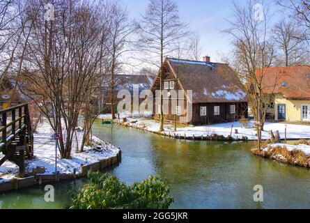 Lehde in Spreeforest im kalten Winter, Brandenburg Stockfoto