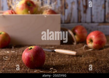 Reife Äpfel auf Sackleinen und in einem Korb auf Holzgrund. Rustikaler Stil, Nahaufnahme. Stockfoto