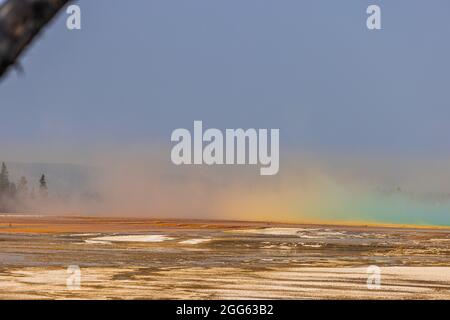Grand Prismatic Spring im Yellowstone National Park Stockfoto