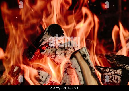 Birning Woods, Lagerfeuer aus der Nähe. Orangenflamme, weiße Asche und Kohlen im Kamin. Feuer im Wald, Naturkatastrophe, unvorsichtiges Verhalten. Kochen auf einem Stockfoto