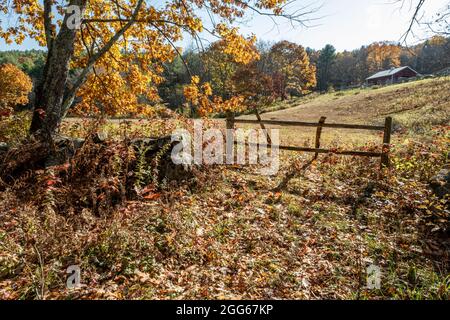 Ein altes Bauernhoftor, das zu einer Weide führt Stockfoto