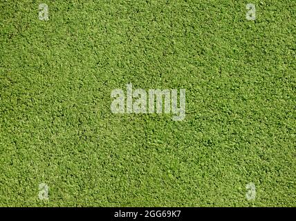 Kunstrasen, grünes Gras Feld Pitch Oberfläche Hintergrundstruktur, Draufsicht hohe Auflösung gefälschte Gras Boden Hintergrund, von oben geschossen. Sportsocken Stockfoto