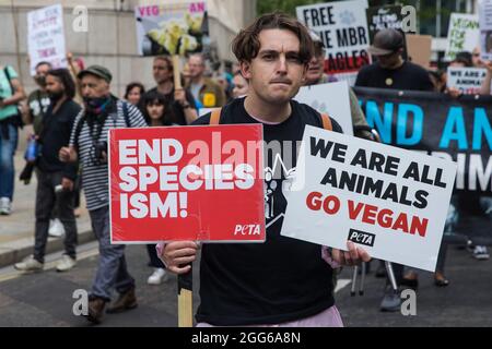 London, Großbritannien. August 2021. Ein Tierrechtler hält während eines Nationalen Tierrechtsmarsches zwei PETA-Zeichen. Animal Rebellion, ein Ableger des Extinction Rebellion, organisierte den marsch zum sechsten Tag der Extinction Rebellion-Proteste in London mit Stopps am Smithfield Fleischmarkt, Unilever (der Marken besitzt, die Milchprodukte verkaufen und Palmöl verwenden), Cargill (einer der größten Fleischverarbeiter der Welt) Und dem Marine Stewardship Council. Kredit: Mark Kerrison/Alamy Live Nachrichten Stockfoto