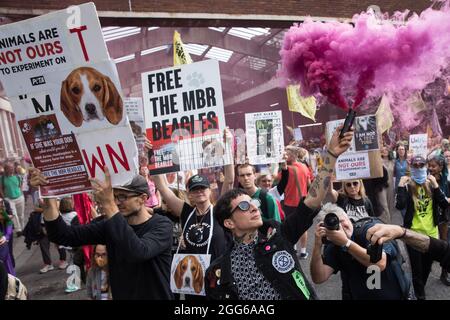 London, Großbritannien. August 2021. Tierrechtsaktivisten von Animal Rebellion und anderen Gruppen kommen am Smithfield Fleischmarkt am Ende eines Nationalen Tierrechtsmarsches an. Animal Rebellion, ein Ableger des Extinction Rebellion, organisierte den marsch zum sechsten Tag der Extinction Rebellion-Proteste in London mit Stopps am Smithfield Fleischmarkt, Unilever (der Marken besitzt, die Milchprodukte verkaufen und Palmöl verwenden), Cargill (einer der größten Fleischverarbeiter der Welt) Und dem Marine Stewardship Council. Kredit: Mark Kerrison/Alamy Live Nachrichten Stockfoto