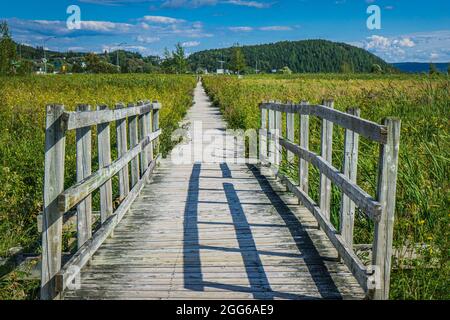 Die Promenade der Saint Fulgence-Wohnungen an einem Sommertag, ein Sumpfgebiet am Saguenay-Fjord in Quebec (Kanada) Stockfoto