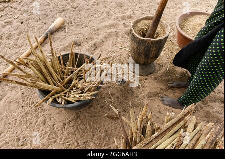 SENEGAL, Sahel, Dorf Ngoxé Djoloff, Frauen pochen Hirse mit Holzmörtel / Trockenheit im Sahel, Frau stampft Hirse Stockfoto