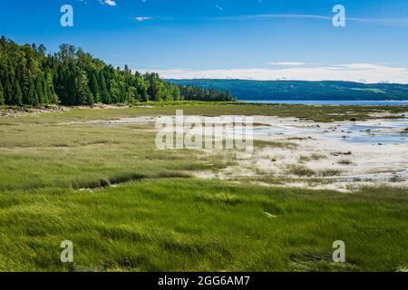 Blick auf den Saguenay Fjord an einem schönen Sommertag von Saint Fulgence (Quebec, Kanada) Stockfoto