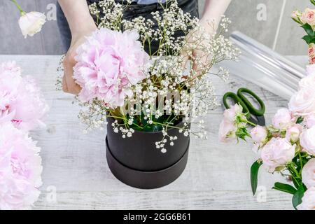 Florist bei der Arbeit: Wie man modische Blumenkachtel mit Pfingstrosen und Rosen macht. Schritt für Schritt, Tutorial. Stockfoto