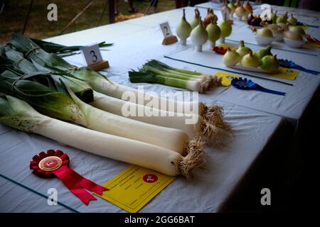 Dunmow, Großbritannien. August 2021. Dunmow Essex England Großbritannien Little Easton Countess of Warwick Country Fair 29 Aug 2021. Die Show geht bis zum Feiertagsmontag weiter. Kredit: BRIAN HARRIS/Alamy Live Nachrichten Stockfoto