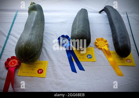 Dunmow, Großbritannien. August 2021. Dunmow Essex England Großbritannien Little Easton Countess of Warwick Country Fair 29 Aug 2021. Die Show geht bis zum Feiertagsmontag weiter. Kredit: BRIAN HARRIS/Alamy Live Nachrichten Stockfoto