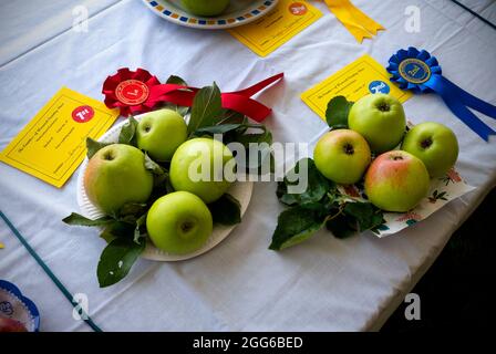 Dunmow, Großbritannien. August 2021. Dunmow Essex England Großbritannien Little Easton Countess of Warwick Country Fair 29 Aug 2021. Die Show geht bis zum Feiertagsmontag weiter. Kredit: BRIAN HARRIS/Alamy Live Nachrichten Stockfoto