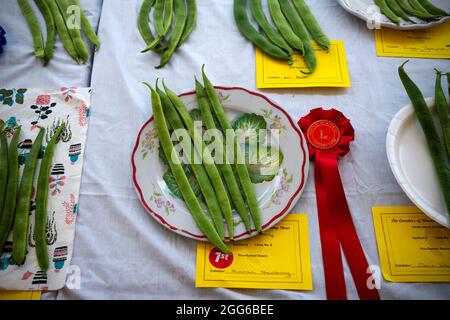 Dunmow, Großbritannien. August 2021. Dunmow Essex England Großbritannien Little Easton Countess of Warwick Country Fair 29 Aug 2021. Die Show geht bis zum Feiertagsmontag weiter. Kredit: BRIAN HARRIS/Alamy Live Nachrichten Stockfoto