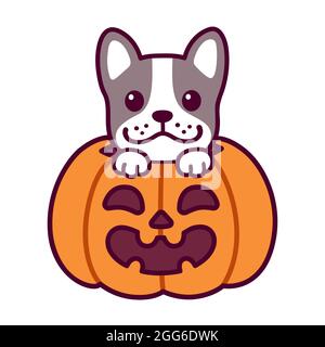 Trick or Treat. Niedliche Cartoon Französisch Bulldogge in Halloween Kürbis. Kawaii Hund Zeichnung, lustige Vektor-Illustration. Stock Vektor