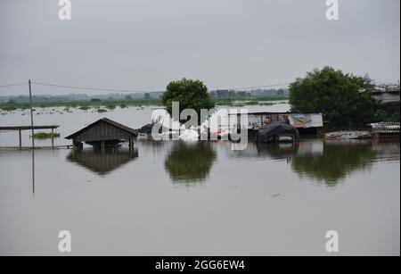 Guwahati, Guwahati, Indien. August 2021. Vom Hochwasser betroffene Dorfbewohner sammeln Haushaltebehalte, nachdem ihr Haus am Sonntag, dem 29. August 2021, im Distrikt Morigaon in Assam Indien in Überschwemmungswasser getaucht wurde.der Anstieg des Wasserspiegels in verschiedenen Flüssen des Staates verursacht Überschwemmungen in fast 15 Distrikt von Assam, die Ernteschäden verursachen (Bildquelle: © Dasarath Deka/ZUMA-Pressdraht) Stockfoto