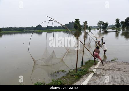 Guwahati, Guwahati, Indien. August 2021. Am Sonntag, dem 29. August 2021, verbreiten Dorfbewohner im von Überschwemmungen betroffenen Dorf im Distrikt Morigaon in Assam Indien ein Fangnetz, um Fische zu fangen.der Anstieg des Wasserstials verschiedener Flüsse des Staates verursacht Überschwemmungen in fast 15 Distrikt von Assam, die Ernteschäden verursachen (Bildquelle: © Dasarath Deka/ZUMA-Pressdraht) Stockfoto