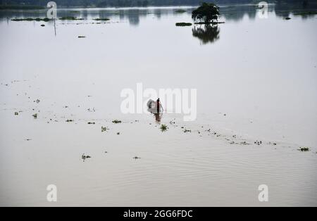 Guwahati, Guwahati, Indien. August 2021. Eine Frau rudert ihr Boot am Sonntag, dem 29. August 2021, durch das Hochwasser des vom Hochwasser betroffenen Dorfes im Distrikt Morigaon in Assam Indien.der Anstieg des Wasserpegels in verschiedenen Flüssen des Staates verursacht eine Überschwemmung in fast 15 Distrikt von Assam und verursacht Schäden an den Kulturen (Bildnachweis: © Dasarath Deka/ZUMA-Pressdraht) Stockfoto