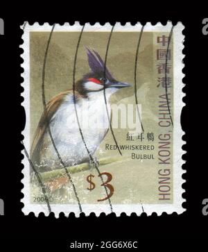Die in HONGKONG, China, gedruckte Briefmarke zeigt das Bild des Rotflüsterigen Bulbul, um 2006. Stockfoto