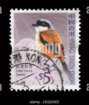 Die in HONGKONG, China, gedruckte Briefmarke zeigt das Bild des Langschwanzwürgers, um 2006. Stockfoto