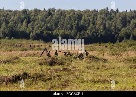 24. August 2018, Aschukino, Region Moskau, Russland: Soldaten mit Schaufeln, die den Schießstand vorbereiten, Während einer zweiwöchigen Trainingseinheit der Granatwerfer für militärische Einheiten des Zentralbezirks der Truppen der russischen Nationalgarde haben die Soldaten ihre Kenntnisse über den technischen Teil der Granatwerfer AGS-17 und RPG-7 vertieft und am Ende des Trainingslagers die Schießtests bestanden. Kontrollfeuer Übung 1 von AGS-17 und 2 von RPG-7 alle Granatwerfer bestanden mit hohen Noten. (Bild: © Mihail Siergiejevicz/SOPA Images via ZUMA Press Wire) Stockfoto