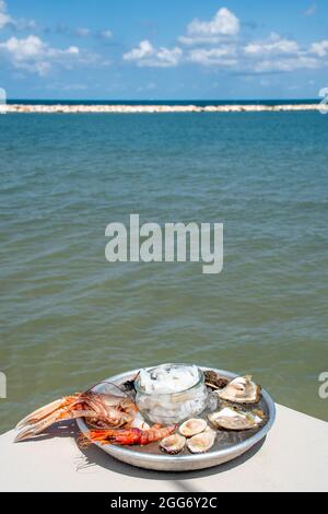 Teller mit rohen frischen Meeresfrüchten oder Lebensmitteln, verzehrfertig mit Garnelen, Garnelen, Austern, Muscheln, Muscheln, Muscheln, Tintenfisch mit Glas Weißwein, vertikal Stockfoto