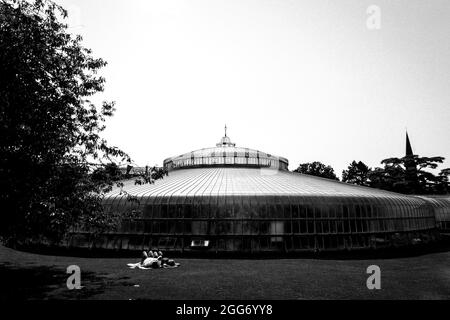 Kibble Palace in den Glasgow Botanic Gardens Stockfoto