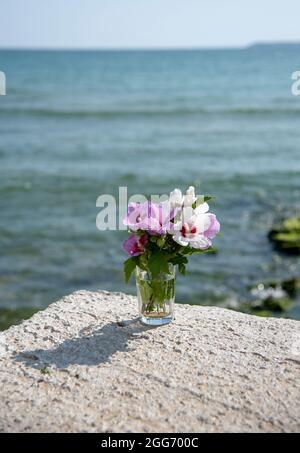 Ein Bouquet von zartem Hibiskus in einem Glas vor dem Hintergrund des Meeres. Stockfoto