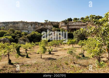 Naturlandschaften der Latomia del Paradiso im Archäologischen Park Neapolis in Syrakus, Sizilien, Italien. Stockfoto