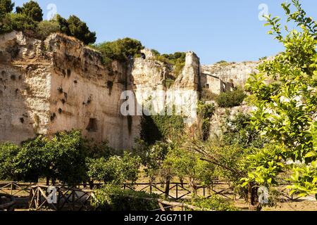 Naturlandschaften der Latomia del Paradiso im Archäologischen Park Neapolis in Syrakus, Sizilien, Italien. Stockfoto