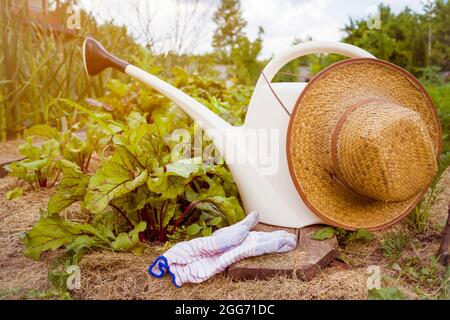 Der Strohhut liegt auf einer weißen Gießkanne. Stockfoto