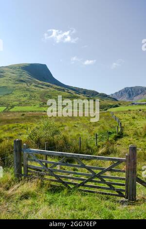 Snowdonia-Nationalpark, Wales. Dramatische Berglandschaft. Hoftor im Vordergrund mit Y-Garn-Berg in der Ferne. Blauer Himmel und Kopierbereich Stockfoto