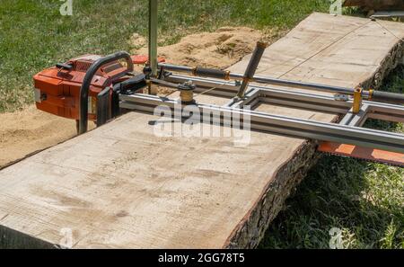 Sägen eines großen Holzbaums, der mit einer Kettensägemühle auf dem Boden liegt Stockfoto