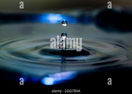 Hochgeschwindigkeitsfoto des Wassertropfens mit Wellen in ruhigem Wasser in blauer Farbe. Selektiver Fokus verwendet. Stockfoto