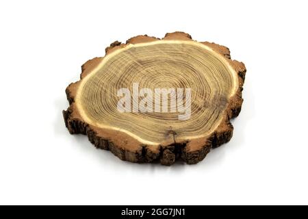 Holzring auf weißem Hintergrund. Stockfoto