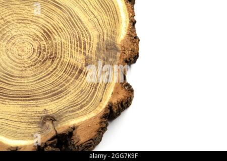 Ein Holzring als Dekoration in Ihrem Haus. Stockfoto