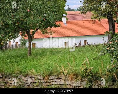 Tschechisches Landhaus mit rotem Ziegeldach hinter einer grünen Wiese, Steinmauer und Obstbäumen in einem ruhigen ländlichen Dorf. Stockfoto